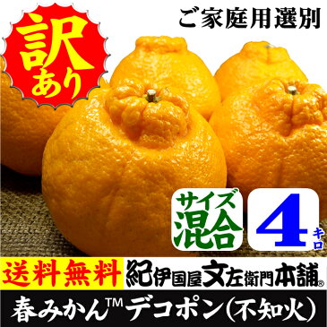 春みかん デコ【4kg】デコポンと同じ品種の不知火（しらぬい）湯浅町産【送料無料】訳あり果実（傷有り・形状不良・黒ずみなど）紀州有田産の春みかん　ちょっと傷あるご家庭用果実】