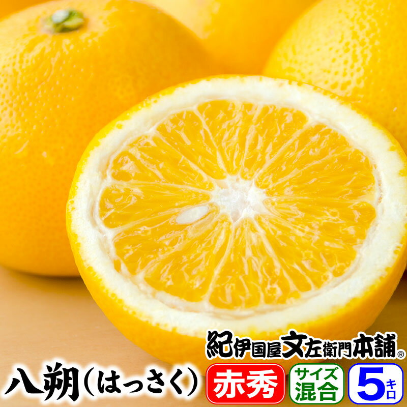 【順次出荷】紀州有田産 八朔/ハッサク【秀品】(不選別・買得品5kg)