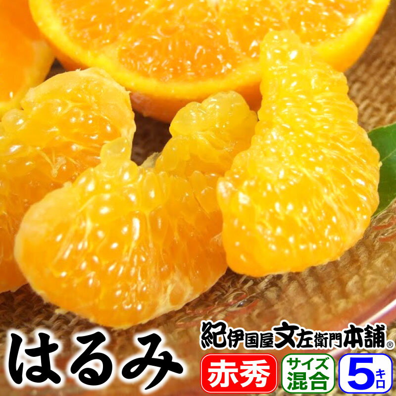 【予約販売】紀州有田産 高糖度系の春みかん『はるみ』秀品 5kg（和歌山県 有田産）サイズ混合果実 5キロ詰め 春柑橘 春かんきつのサムネイル