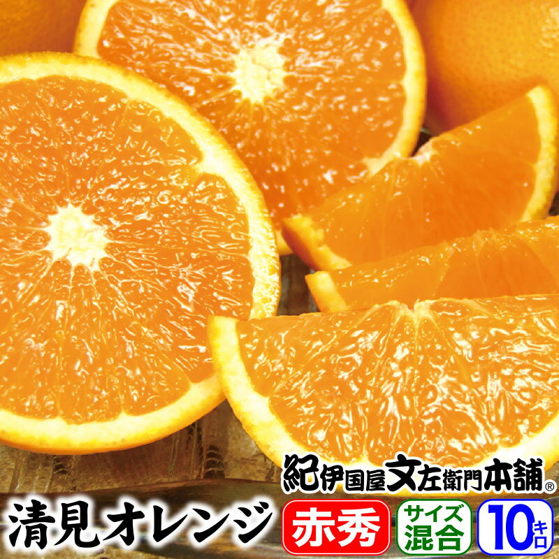 【順次出荷】春かんきつ 清見オレンジ 10kg 秀品【送料無料】ギフト選別品 10キロ 濃厚味 春柑橘 春みかん 有田みかんの本場 紀州 和歌山県産