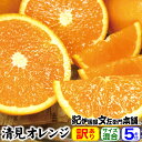 【順次出荷】訳あり春かんきつ 清見オレンジ 5kg【送料無料】B級 家庭用選別 紀州 和歌山県産 有田産 春みかん 春柑橘 お買得わけあり選別 有田みかんの本場...