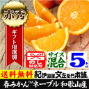 ネーブルオレンジ（紀州有田産）約5kg／正品／サイズ選別無し【送料無料】