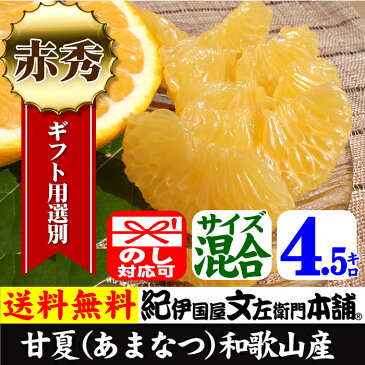 甘夏・あまなつ(和歌山県・紀州有田産)4．5kg【送料無料】手選り選別・ギフト用特選品・紀州有田産の春みかん