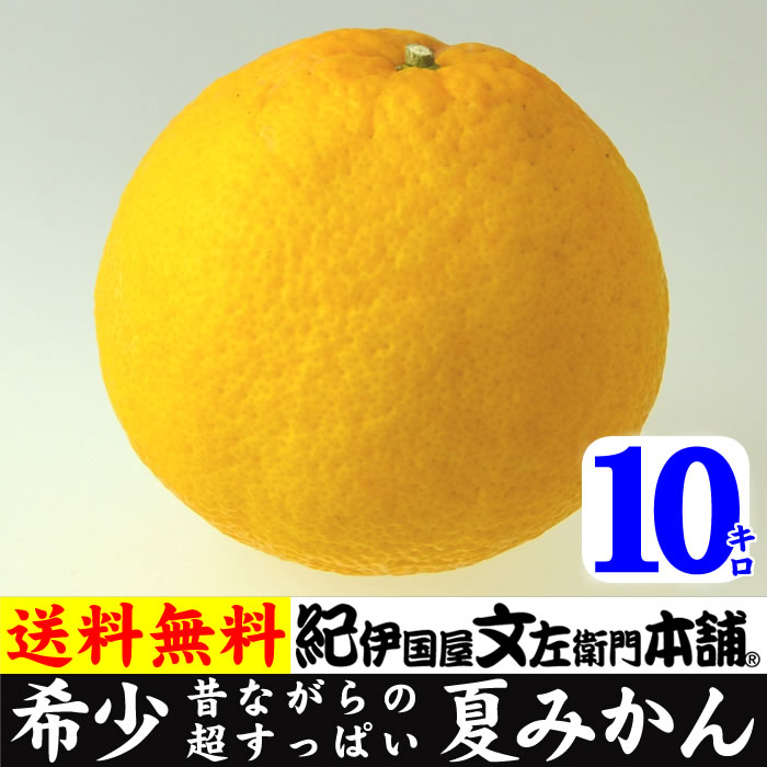 夏みかん(2Lサイズ) 10キロ 田村出荷組合