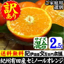 【順次出荷】わけあり春かんきつ『セミノールオレンジ』【送料無料】和歌山県産・紀州有田産　【キズ】（お試し少量セット2.5kg）買得品・ご家庭用・果汁(ジュース)たっぷりの濃厚柑橘を産地直送