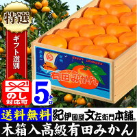 有田みかん産地直送 【贈答用】 檜のエコ木箱入 有田みかん