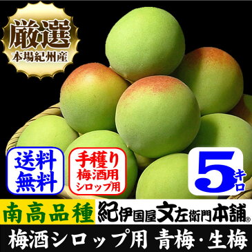 厳選南高梅 フレッシュ青梅(生梅)【 緑 】5キロ 梅干のブランド 厳選 朝採り手選別　青梅(生梅)　南高梅【梅酒用・梅干用】5kg入紀州産 和歌山産 【送料無料】朝収穫・朝どり・朝穫り【クール冷蔵便発送】うめ ウメ 梅