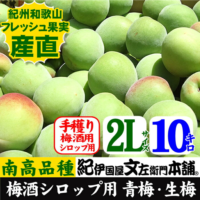 サンプル画像3