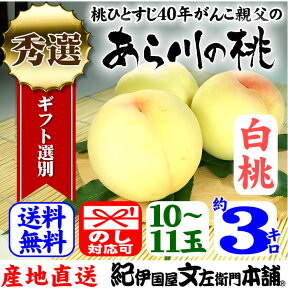 紀州和歌山　あら川の桃　【白桃種】　手選り【秀選】　約3kg／10〜11玉入 生産者からの直送となります。