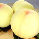 【予約販売】紀州和歌山 あら川の桃 【白桃種】 手選り【秀選】 2.8kg/7〜8玉入生産者からの直送となります。
