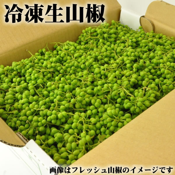 【冷凍】実山椒 500g (青山椒・冷凍