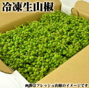 【予約販売】実山椒 500g (青山椒・生山椒・さんしょう／和歌山県有田川町産など・旧清水町エリア)品種：ぶどう山椒を産直 高鮮度発送 山椒【クール冷蔵便発送】