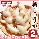 【予約販売】フレッシュ新しょうが2kg入和歌山県産 【送料無料】紀ノ川河口で栽培されている高品質の新生姜を新鮮 産地直送自家製 甘酢..