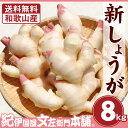 【ふるさと納税】高知県産 黄金しょうが 2kg