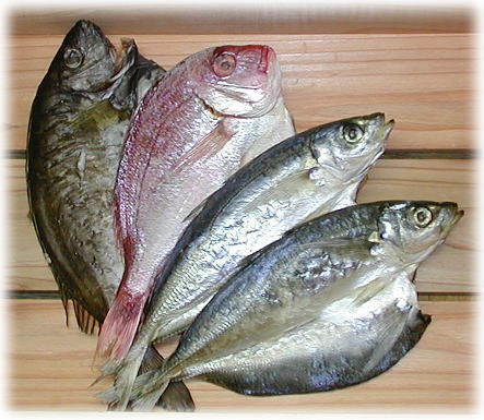 店長おすすめ　干物（ひもの）セット店長お任せ紀伊水道産“ひもの”セット『お試し』