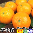 【順次出荷】伊予柑 いよかん 家庭用選別 5kg【送料無料】（わけあり買得品5キロ詰め）紀州和歌山産 みかんの本場 有田地方から 春かんきつ&#8482;春みかん&#8482;