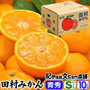 【予約販売】田村みかん/ギフト選別10キロ青秀【Sサイズ】紀州和歌山有田郡湯浅町田村地区産(秀品 S=約120果前後) 最高級プレミアムブランドの田村ミカン/お歳暮・お年賀に 【送料無料】