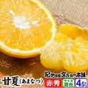 みかん 【順次出荷】甘夏・あまなつ(和歌山県・紀州有田産)　4.5kg【送料無料】手選り選別・ギフト用特選品・紀州有田産の春みかん