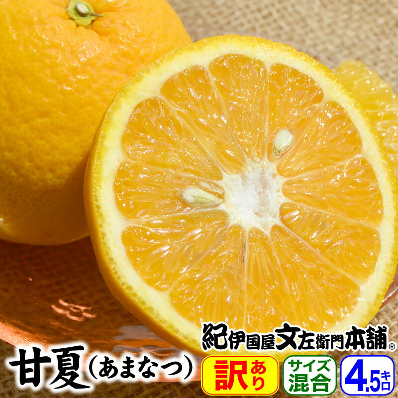 【順次出荷】完熟 甘夏（あまなつ）【訳あり果実・買得品4.5kg】送料無料／紀州有田産の春みかん／わけあり柑橘／ご家庭用甘夏／本場 和歌山県有田地方産