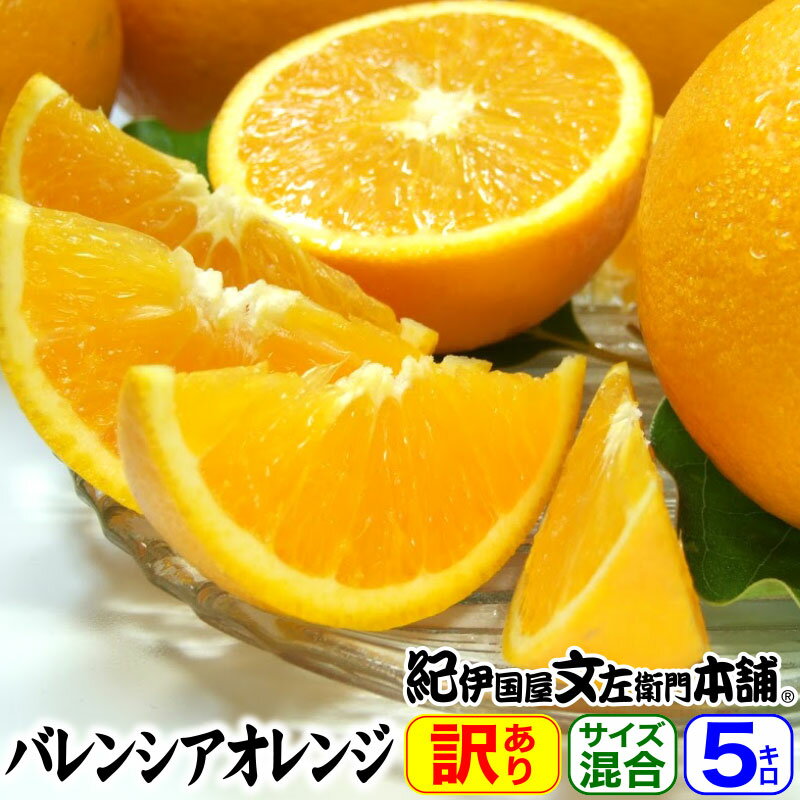 【予約販売】バレンシアオレンジ 買得品 5kg ご家庭用 紀州有田産 わけあり柑橘 訳あり お試しセット 国産 ばれんし…