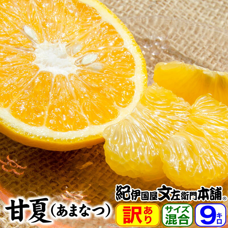 完熟 甘夏（あまなつ）【訳あり果実・買得品9kg】送料無料／紀州有田産の春みかん・わけあり柑橘