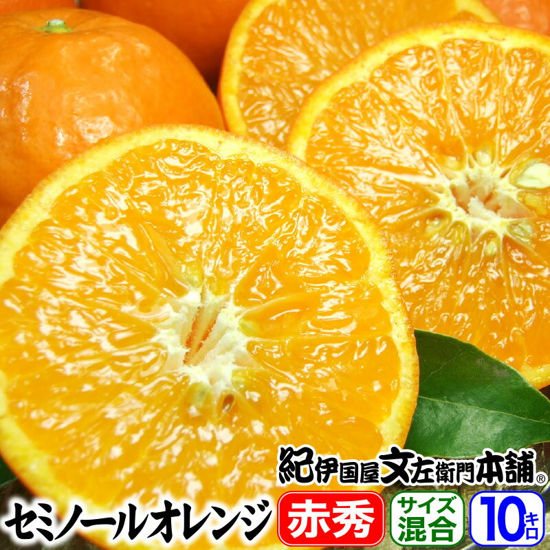 ��ͽ������۽դߤ��󡦥��ߥΡ��륪���10kg������̵�����²λ�����������ͭ�Ļ���£���������ʡ����եȤ˺�Ŭ�ʲ�ʪ���̽�(���塼��)���äפ�ǻ�����̤���ľ��...