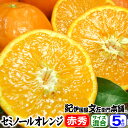 【順次出荷】セミノールオレンジ5kg【送料無料】和歌山県産・紀州有田産・贈答用選別品・ギフトに最適な果物・果汁(ジュース)たっぷりの濃厚柑橘を産地直送・美味しい春みかん