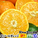 【順次出荷】わけあり春かんきつ『セミノールオレンジ』【送料無料】和歌山県産・紀州有田産 【キズ】(買得品10kgまとめ買い)ご家庭用・果汁(ジュース)たっぷりの...
