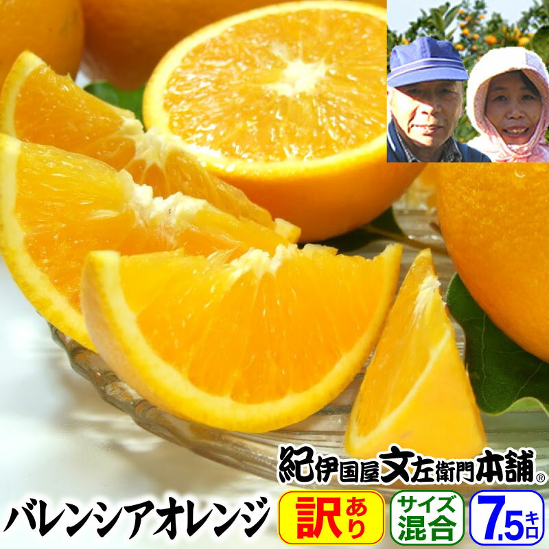 ͽ⤵ΥХ󥷥󥸤ѡ̵ۥ7.5kg 3748 ͭķͭĮ(Į)()϶褫