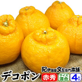 丸新農園　下出さんちのデコポンと同じ品種の不知火（しらぬい）【秀品】4kg 約17〜22玉　和歌山県有田郡広川町の春みかん・送料無料