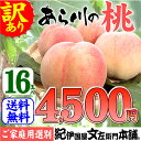 訳あり♪紀州和歌山名産“あら川の桃”【ご家庭用　お買得品】3．8kg〜4kg／16玉入[あら川第一桃 ...