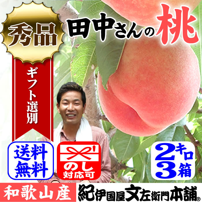 【予約販売】約2kg箱 3箱セット 田中さんちの大きなわかやまの桃 もも 和歌山県産 田中さんちの桃 白鳳・嶺鳳・白桃・なつっこ 【送料無料】産地直送 1箱に6～8玉入り