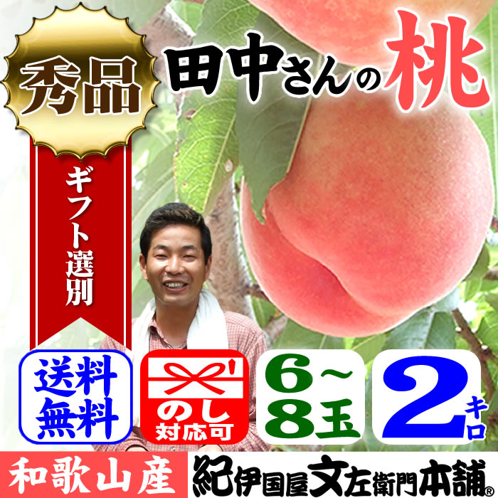 【予約販売】田中さんちの大きなわかやまの桃（もも）約2kg箱　和歌山県産 田中さんちの桃（白鳳・嶺鳳・白桃・なつ…