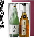 黒牛仕立て梅酒&純米酒 黒牛 ギフトセット 各1本(720ml 2本)/ 名手酒造店 / 【和歌山県産】【2本セット】【送料無料】