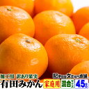 【予約販売】加工用 有田みかん 送料無料 訳ありみかん 和歌山ミカン たっぷり 計5キロ お買い得!【加工用・規格外・傷あり】お試しセール 産地直送 わけあり有...