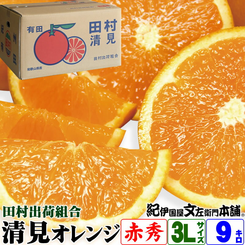 【予約販売】田村出荷組合 清見オレンジ 赤秀【3L】9kg箱 【送料無料】目安として1箱に28～33果前後 特選品 ギフト選別品 約9キロ 多果汁 濃厚 柑橘 春みかん 春かんきつ 和歌山県有田郡湯浅町 田村みかんの出荷組合から