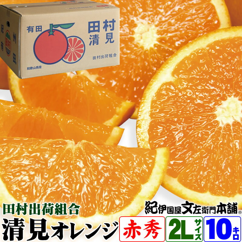 ��ͽ���������¼�в��ȹ� ��������� �ֽ���2L��10kgȢ ������̵�����ܰ¤Ȥ���1Ȣ��40��46�� ������ ���ե������� ��10���� ¿�̽� ǻ�� ���� ...