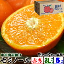【予約販売】田村出荷組合 セミノール オレンジ 赤秀 3L (24玉) 5kg箱 【送料無料】約5キロ入 濃厚 ジューシー 春みかん 春かんきつ 和歌山県有田郡湯浅町 田村みかんの出荷組合から(4)