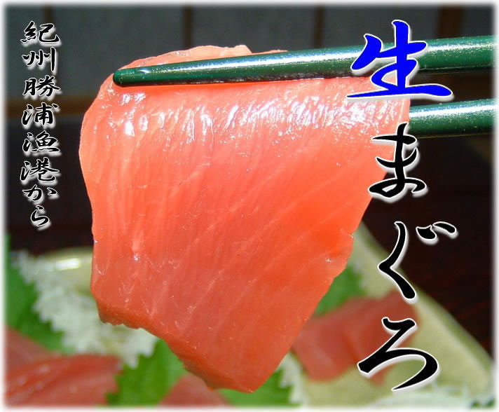 生まぐろ赤身 [約480g]【和歌山県産】未冷凍 生マグロ短冊【2冊】通常 220g～260gを2本(冊) 本場 紀州勝浦漁港から超高鮮度の生まぐろ 勝浦漁港の買付競り人から産地直送