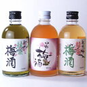 紀州梅酒【お試し】試飲3本セット紀州南高梅使用　中野梅酒　300ml×3本中野BC【和歌山県産】【紀州梅酒3本セット】【お買い得セット】【果実酒】