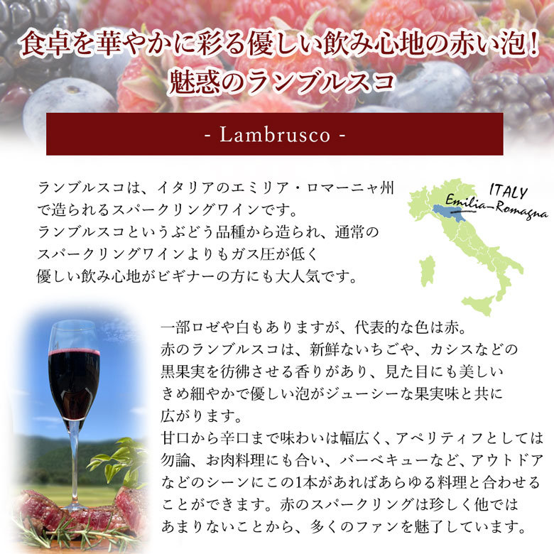 豪華イタリア6本セット！微発泡で人気のランブルスコ！最高格DOCGキャンティー！産...