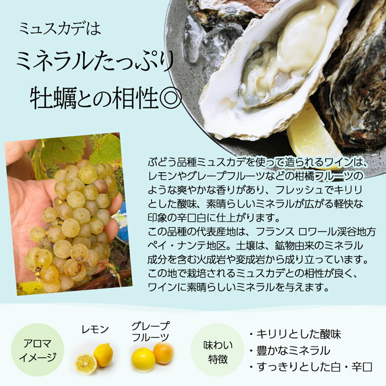 ミネラル抜群!ミュスカデ3種飲み比べ 3本 セ...の紹介画像2