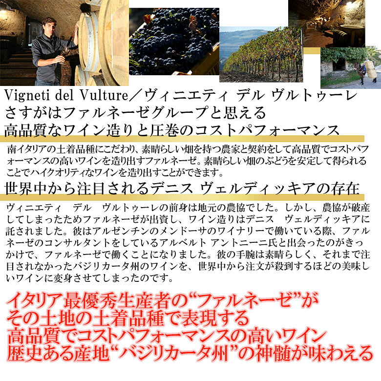 ピポリ・アリアーニコ・デル・ヴルトゥーレ【ヴィンテージは順次変わります】赤ワイン イタリア バジリカータ フルボディ 木樽熟成 ギフト 母の日 プレゼント buon-vino-10001548 イタリアワインならボン・ヴィーノ サンプル画像3