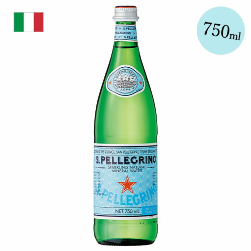 サンペレグリノ S.PELLEGRINO ミネラルウォーター 1本 単品 750ml 硬水 炭酸入り 炭酸水 イタリア ギフト 御中元 プレゼント 750ML