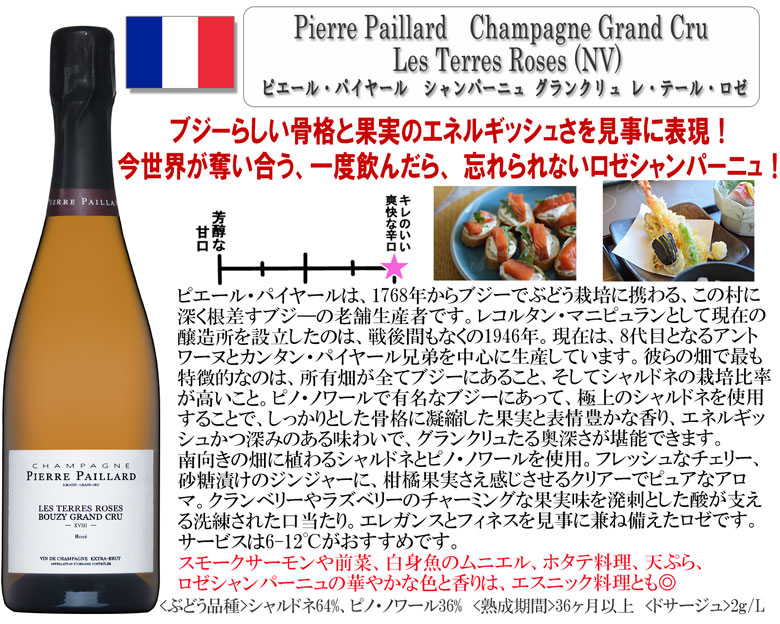 ピエール・パイヤール　シャンパーニュ グランクリュ レ・テール・ロゼ [NV] スパークリングワイン ロゼ 辛口 フランス ブジー ギフト 母の日 プレゼント 750ML buon-vino-10006403 イタリアワインならボン・ヴィーノ サンプル画像2