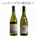 シュナンブラン 2本セット ワイン セット wine ギフト 母の日 750ML