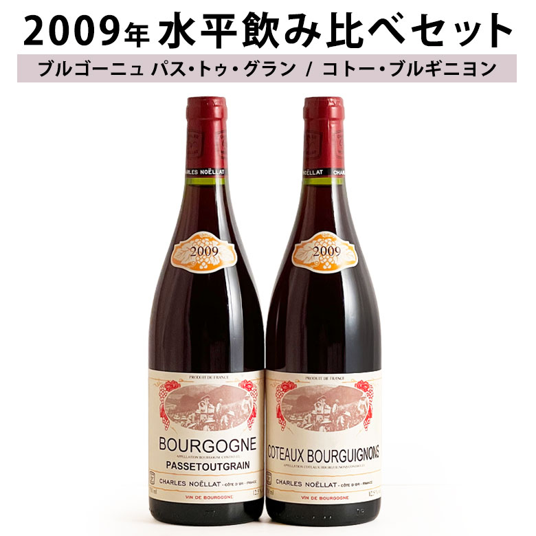 シャルルノエラ　2009年 水平セット 2本セット ワイン セット wine ギフト 父の日 750ML