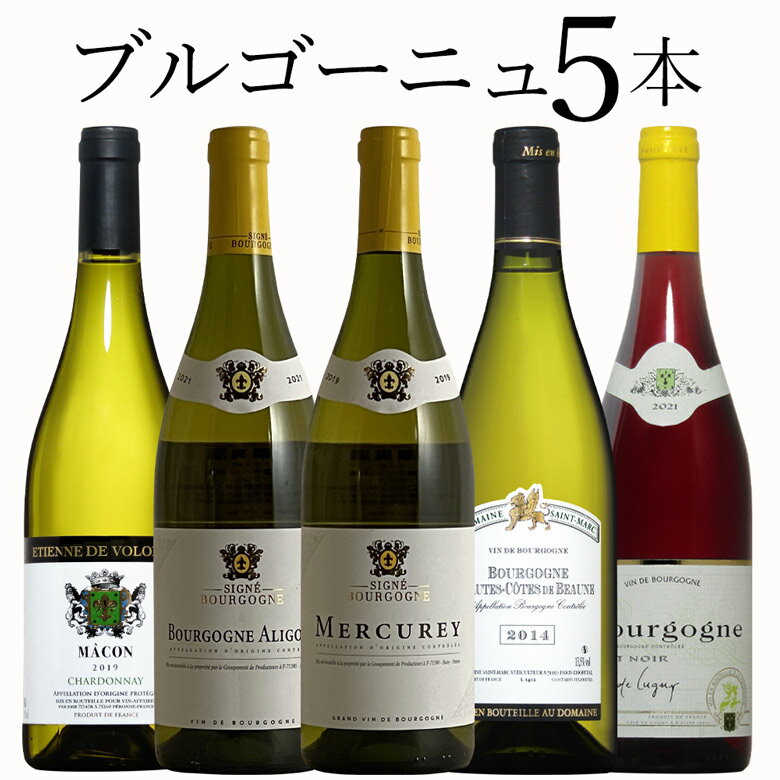 ブルゴーニュ 赤1白4 5本 ワイン セット wine ギフト 父の日 750ML