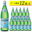  サンペレグリノ S.PELLEGRINO ミネラルウォーター 12本 750ml 硬水 炭酸入り 炭酸水 イタリア 12本入 ギフト 母の日 プレゼント 750ML