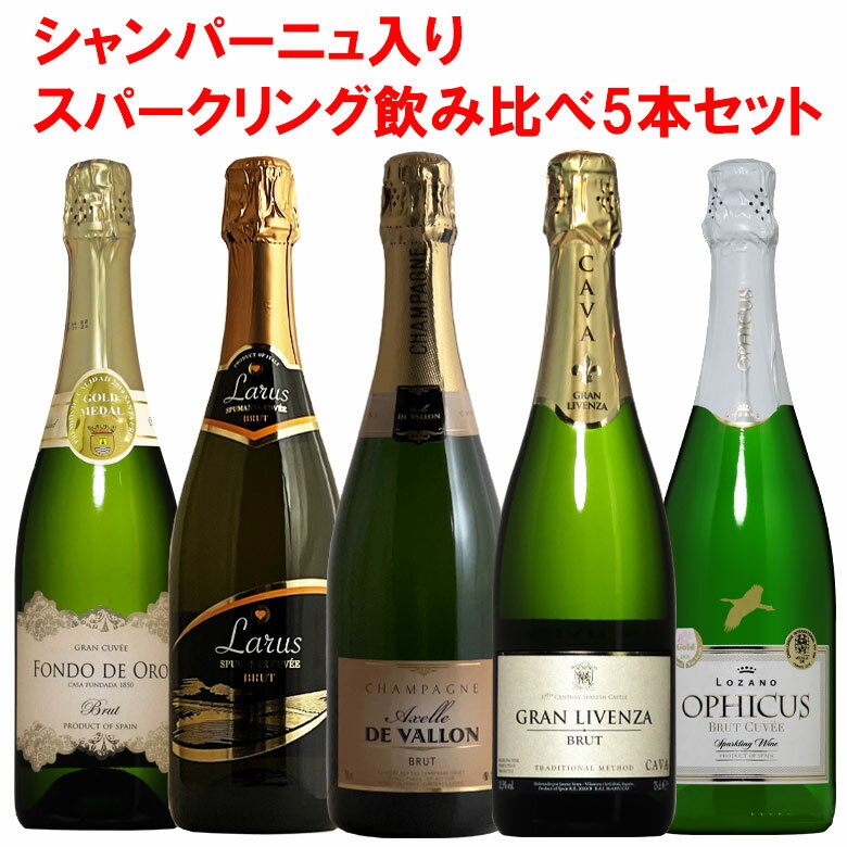 シャンパーニュ 入り!スパークリング ワイン白 5本セット! ワイン セット wine【送料無料】 ギフト クリスマス 750ML
